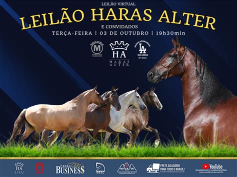 Canal Business LEILÃO VIRTUAL HARAS ALTER E CONVIDADOS Canal Business