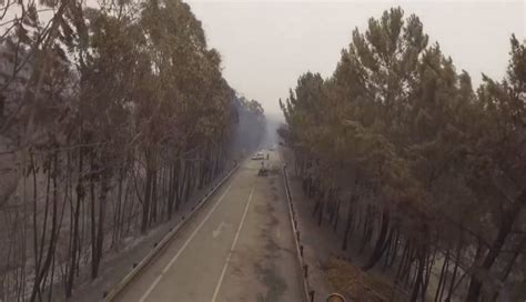 Vídeo Mais Visto No Facebook é Do Incêndio De Pedrógão Zap Notícias