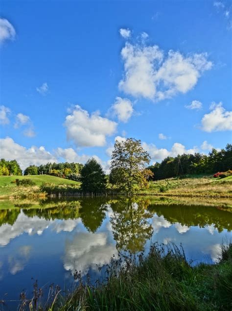 Free Images Landscape Tree Water Nature Grass Marsh Cloud Sky