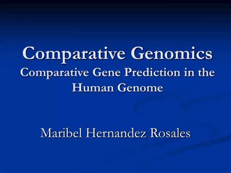 Ppt Comparative Genomics Comparative Gene Prediction In The Human