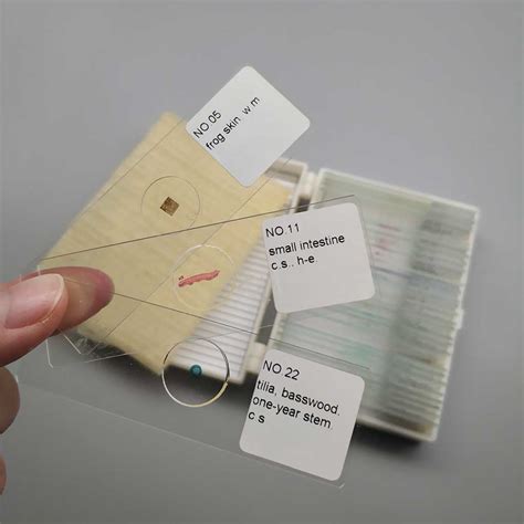 25pcs Set General Biology Microscope Prepared Slides