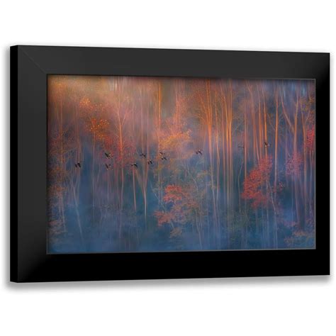 P Ruiqing 18x13 Black Modern Framed Museum Art Print Titled Misty