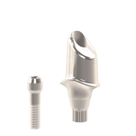 Titanium Implant Abutment Dentsply Heliocos GmbH Internal