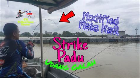 Modified Mata Bullzen Saiz Mancing Udang Galah Ketika Air Besar