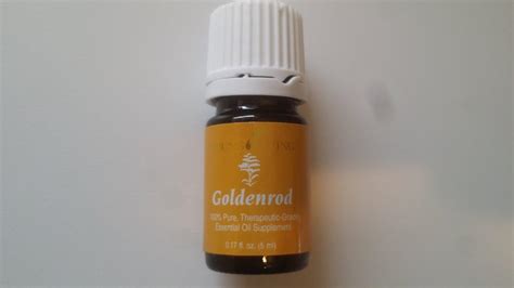 Goldenrod Essential Oil 5ml By Young Living Essential Oils Amazonca