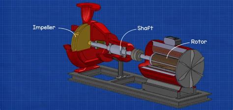 Centrifugal Pump Rotation