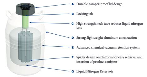 Spectrum Series Mve Small Liquid Nitrogen Dewars