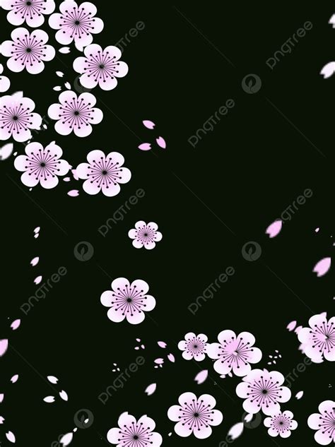 Cherry Blossom Petals Falling