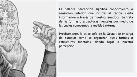 Psicologia De La Gestalt Historia Autores Y Leyes Ppt