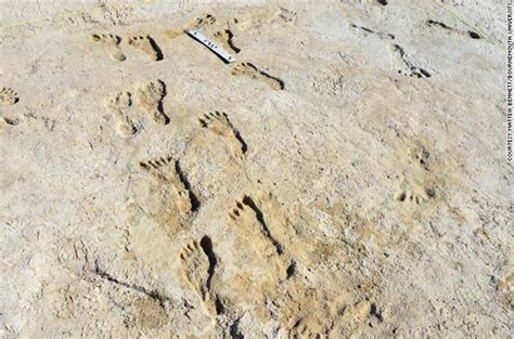 Fossilized Footprints Show Humans Made It To North America Much Earlier