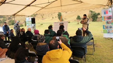 Lanzan Plan de Restauración de Bosque Nativo a gran escala en Los Ríos