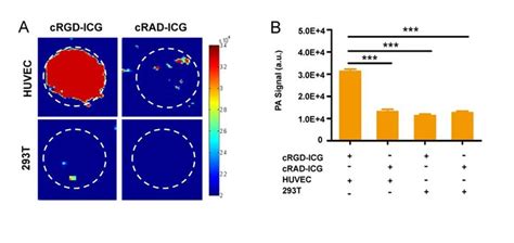 Cell Specific Uptake Of Crgd Icg By Flow Cytometry Red Curves Huvecs