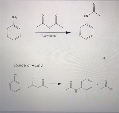 Solved Hn Nh Acetylation Source Of Acetyl Nh Oh Chegg