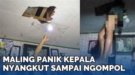 Apes Nasib Maling Panik Kepala Nyangkut Di Plafon Ketakutan Sampai