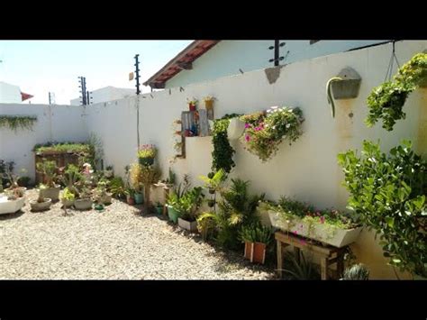 Transformei minha casa num Paraíso Verde Plantas do meu quintal 01