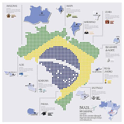 130 Mapa De Brasil Y Viajes Infografía Plantilla De Diseño Fotografías