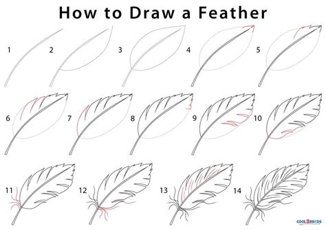 Feather Pwn Motor Shield Diagram How To Draw A Feather Step