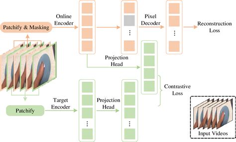 Cmae V Contrastive Masked Autoencoders For Video Action Recognition Paper And Code Catalyzex