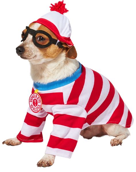 Where'S Waldo Dog Costume: Unleash the Fun! - Dog Advisor Tips