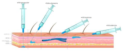 What Are Vaccines And Why Are They Not Given Intravenously Kmed