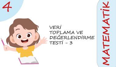 S N F Veri Toplama Ve De Erlendirme Testi