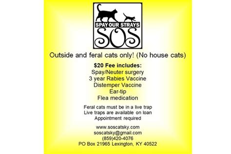 Spay & Neuter | Anderson Humane Society, Inc., Lawrenceburg, KY