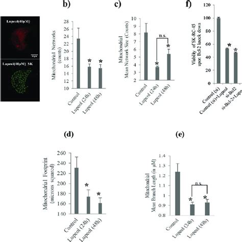 Structure And Effect Of Lupeol On The Viability Of Sk Rc Control