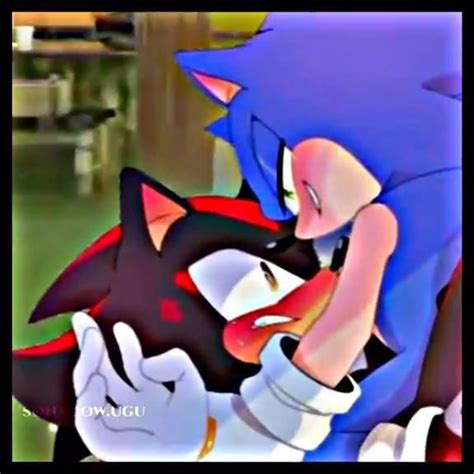 Ideas De Sonadow En Arte Erizo Fotos De Shadow Dibujos