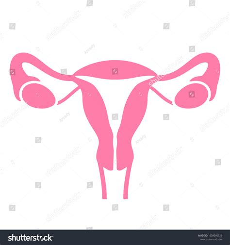 Women Uterus Ovary Icon Isolated On Stock Vector Royalty Free 1638560323