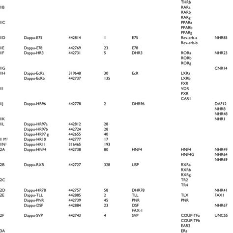 Nuclear Receptors In Daphnea Pulex Drosophila Melanogaster Homo