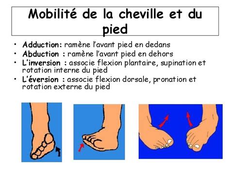 SEMIOLOGIE DU PIED ET CHEVILLE Emilie Acquacalda Rhumatologie