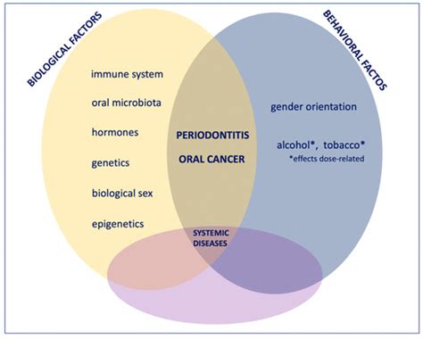 Applied Sciences Free Full Text Analysis Of Risk Factors Of Oral