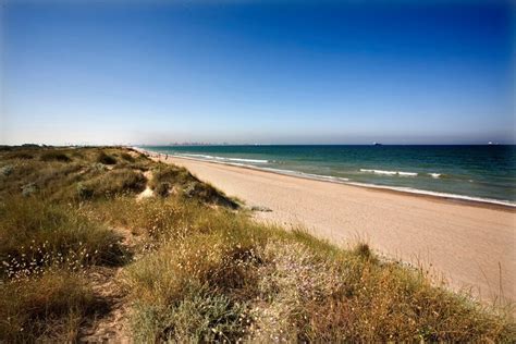 Explore The Diverse And Captivating Beaches Of València