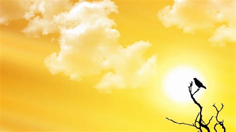 Cool Yellow Wallpapers Wallpaper Cave