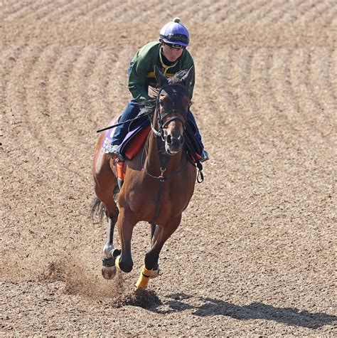 【nhkマイルc】モリアーナ楽に11秒4 武藤師「しっかり走れていた」／g1追い切り速報 3歳馬特集 競馬写真ニュース 日刊スポーツ