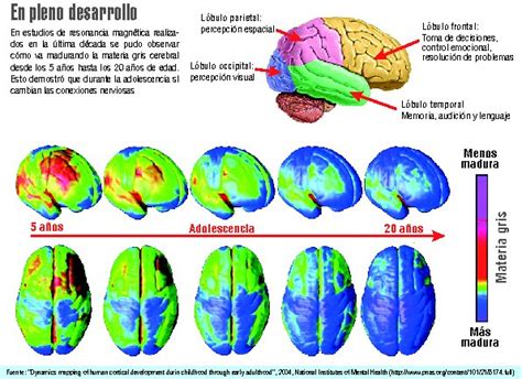 La Cara Desconocida Del Cerebro