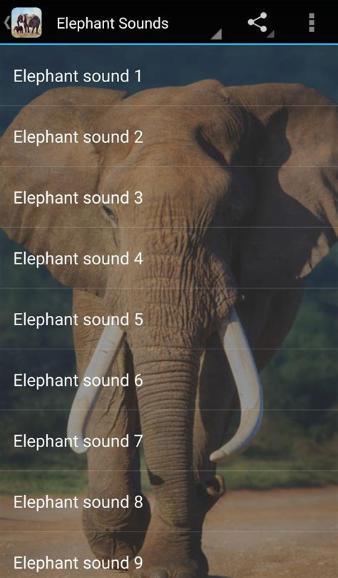 Elephant Sounds APK для Android Скачать