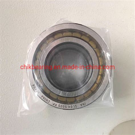 Cylindrical Roller Bearing With Full Complement Structure Ina Sl