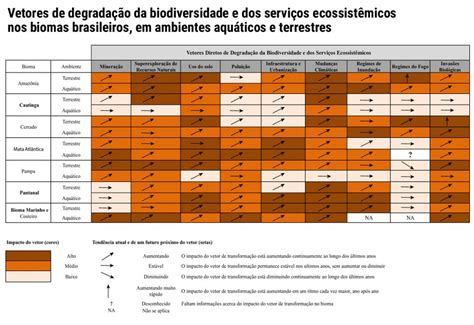 Brasil Desperdi A O Potencial De Sua Biodiversidade