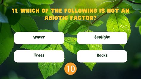 Ecology Vocabulary Quiz Test Your Knowledge On Abiotic And Biotic