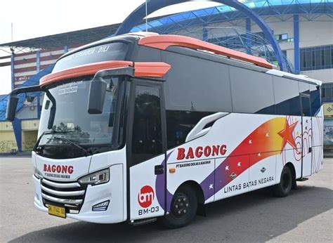 Kenali Jenis Jenis Bus Berdasarkan Ukuran Jangan Salah Pilih Biar