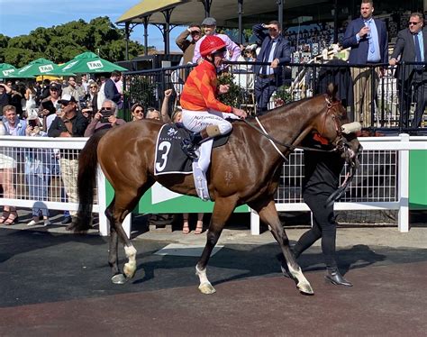 The Archer Field Confirmed, Apache Chase Favourite