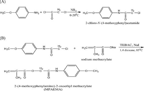 A Synthesis Of The 2 Chloro N 4 Methoxyphenyl Acetamide B