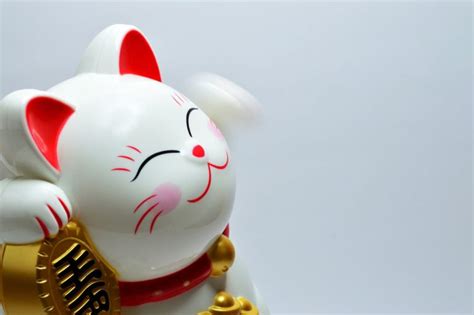 Alles Wat Je Moet Weten Over De Zwaaiende Japanse Gelukskat Maneki Neko