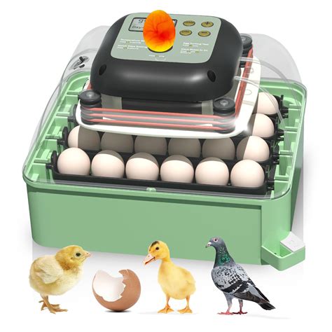 Best Egg Incubators For Reliable Hatching Abigfarm