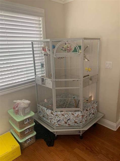 VERY NICE CAGE Cockatiel Cage Nice