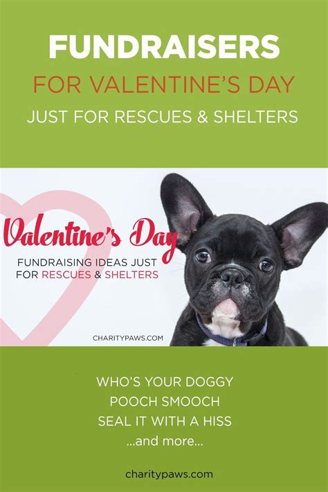 10 Valentine Fundraiser Ideas For Your Rescue Or Shelter Animal