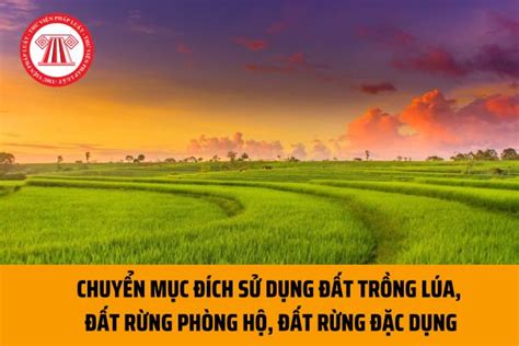 Điều Kiện Chuyển Mục đích Sử Dụng đất Trồng Lúa đất Rừng Phòng Hộ đất