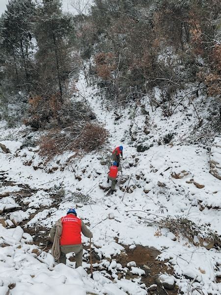 国网十堰供电公司多措并举确保电网稳定运行 防范应对冰雪天气 全力保障供电安全 荆楚网 湖北日报网