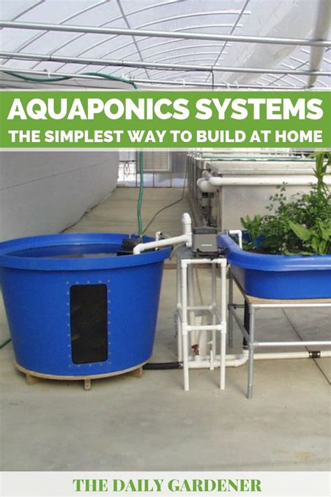 Aquaponics Systems The Simplest Way To Build At Home